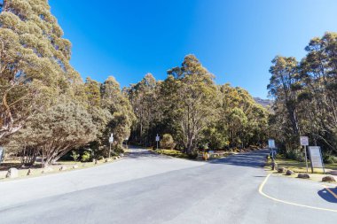 Wellington Dağı yamaçlarındaki Springs pikniği ve dinlenme alanı Tazmanya, Avustralya 'daki Hobart' ta serin bir bahar günü.