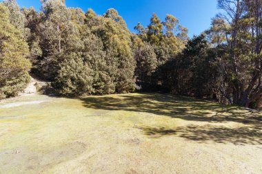 Wellington Dağı 'nın yamaçlarındaki Springs Oteli Tazmanya, Avustralya' daki Hobart 'ta serin bir bahar günü