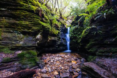 Myrtle Gully Falls yakınlarındaki Wellington Dağı 'nın yamaçlarında yer alan güzel Secret Falls Hobart, Tazmanya, Avustralya' da ılık bir bahar günüdür.
