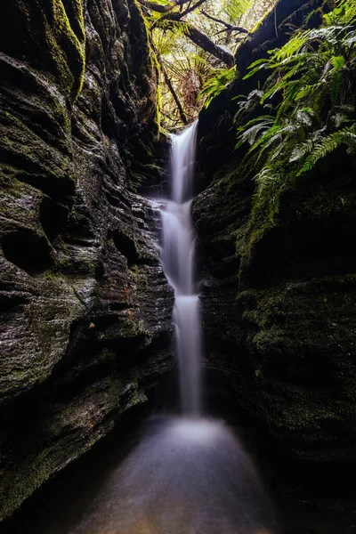 Gyönyörű Secret Falls Található Lejtőin Wellington Közelében Myrtle Gully Falls — Stock Fotó