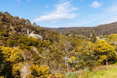 DERby, AUSTRALYA - 23 Eylül 2022: Avustralya 'nın Tazmanya kentinde soğuk bir bahar sabahı, Derby kırsalındaki kaya ve çevre arazide Aborjin balık tablosu