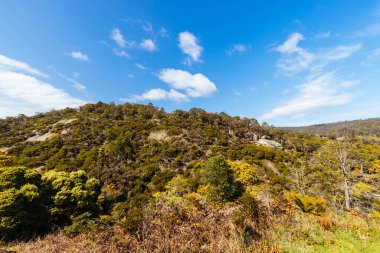 DERby, AUSTRALYA - 23 Eylül 2022: Avustralya 'nın Tazmanya kentinde soğuk bir bahar sabahı, Derby kırsalındaki kaya ve çevre arazide Aborjin balık tablosu
