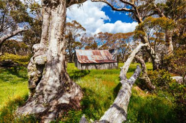 Tarihsel Wallace Hut, Avustralya 'nın Viktorya Alpleri' ndeki Falls Creek yakınlarında kalan en eski sığır yetiştirici kulübesi.