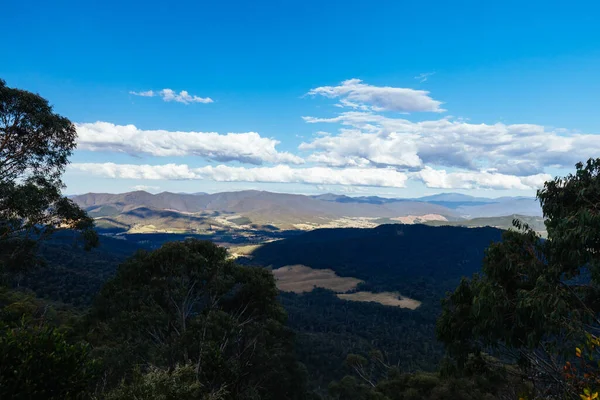 Дорожні Види Схилах Гори Баффало Влітку Пополудні Вікторіанських Альпах Австралія — стокове фото