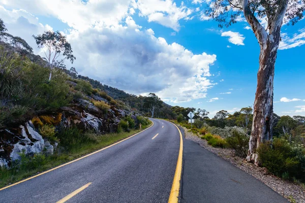 オーストラリアのビクトリア朝アルプスで夏の午後にバッファロー山の斜面に道路の景色 — ストック写真