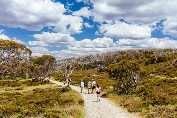 stock image Landscape scenery on Wallaces Heritage Trail on a hot summers day near Falls Creek in the Victorian Alps, Australia