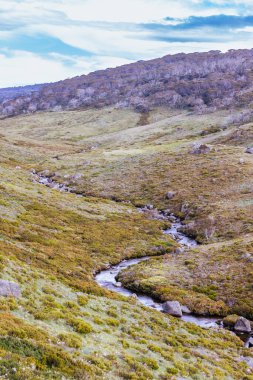 Öğleden sonra Kosciuszko Ulusal Parkı, Yeni Güney Galler, Avustralya 'daki Dead Horse Gap ve Thredo yakınlarındaki Cascade Hut Trail' de manzara.