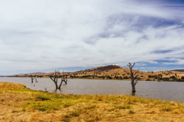 Victoria, Avustralya 'daki Kiewa yakınlarındaki Sandy Creek' te sel basmış Hume Gölü manzarası