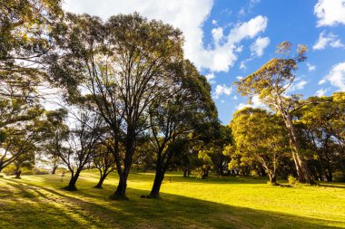 Avustralya 'nın Yeni Güney Galler kentindeki Kosciuszko Ulusal Parkı' nda öğleden sonra saatlerinde Crackenback Gölü disk golf sahası.