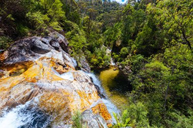 Yaz boyunca Rollasons Falls 'un tenha üst kısımları Victoria, Avustralya' daki Buffalo Dağı 'nın yamaçlarında.