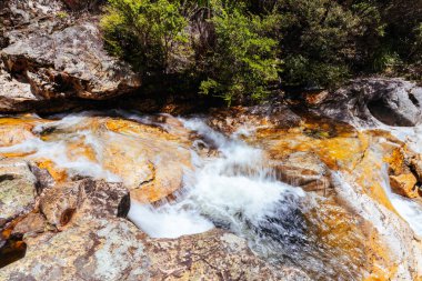 Yaz boyunca Rollasons Falls 'un tenha üst kısımları Victoria, Avustralya' daki Buffalo Dağı 'nın yamaçlarında.