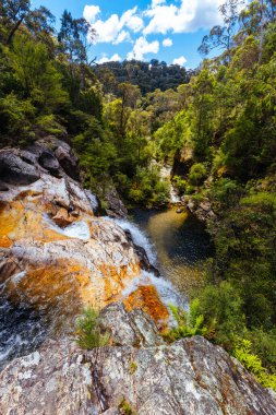 Yaz boyunca Rollasons Falls 'un tenha üst kısımları Victoria, Avustralya' daki Buffalo Dağı 'nın yamaçlarında.