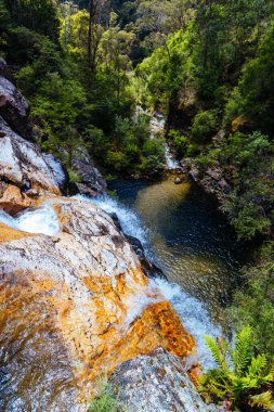 Yaz boyunca Rollasons Falls 'un tenha üst kısımları Victoria, Avustralya' daki Buffalo Dağı 'nın yamaçlarında.