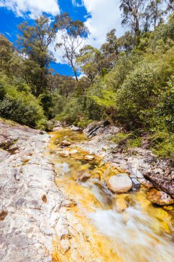 Yaz boyunca Rollasons Falls 'un tenha üst kısımları Victoria, Avustralya' daki Buffalo Dağı 'nın yamaçlarında.