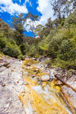 Yaz boyunca Rollasons Falls 'un tenha üst kısımları Victoria, Avustralya' daki Buffalo Dağı 'nın yamaçlarında.