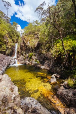 Yaz boyunca Rollasons Falls 'un tenha alt kısımları Victoria, Avustralya' daki Buffalo Dağı 'nın yamaçlarında.