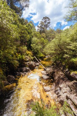 Yaz boyunca Rollasons Falls 'un tenha alt kısımları Victoria, Avustralya' daki Buffalo Dağı 'nın yamaçlarında.