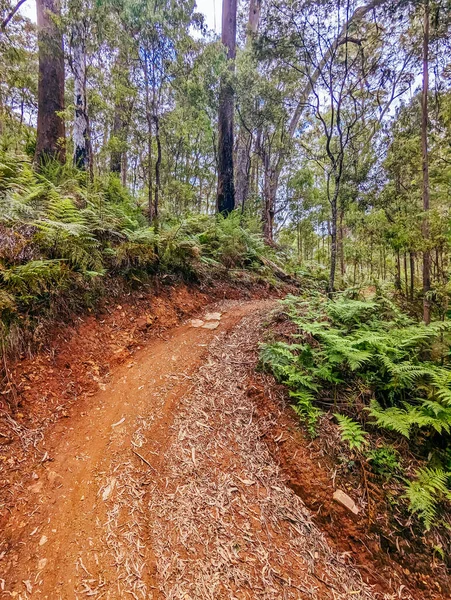 Yackandandah mountain bike trails in Indigo Shire in Victoria, Australia