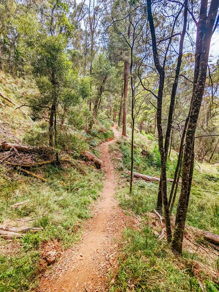 Yackandandah mountain bike trails in Indigo Shire in Victoria, Australia