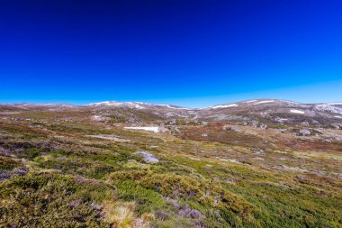 Landscape views over the Snowy River towards Main Range Walk on a summers day in Kosciuszko National Park in Snowy Mountains, New South Wales, Australia