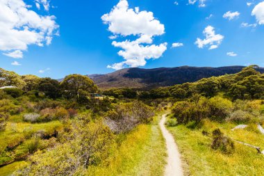 The walking and biking trails along the Thredbo River near Bullocks Hut at Lake Crackenback, New South Wales, Australia