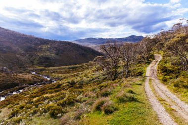 Öğleden sonra Kosciuszko Ulusal Parkı, Yeni Güney Galler, Avustralya 'daki Dead Horse Gap ve Thredo yakınlarındaki Cascade Hut Trail' de manzara.