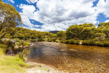 The walking and biking trails along the Thredbo River near Bullocks Hut at Lake Crackenback, New South Wales, Australia