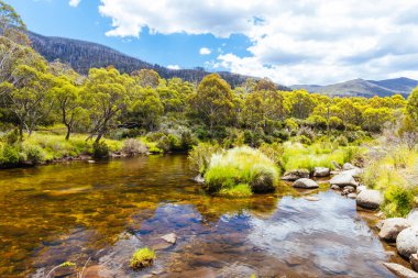 The walking and biking trails along the Thredbo River near Bullocks Hut at Lake Crackenback, New South Wales, Australia