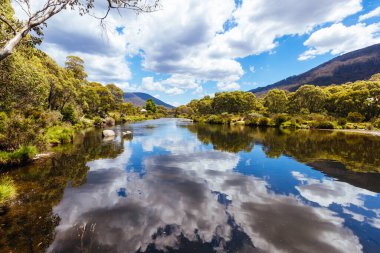 The walking and biking trails along the Thredbo River near Bullocks Hut at Lake Crackenback, New South Wales, Australia