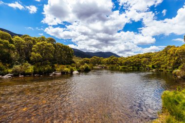 The walking and biking trails along the Thredbo River near Bullocks Hut at Lake Crackenback, New South Wales, Australia