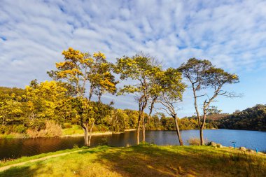 DERBY, AUSTRALIA - 22 SEPTEMBER 2022: Briseis Hole Lake Derby ve Derby kırsalındaki ünlü yüzen sauna