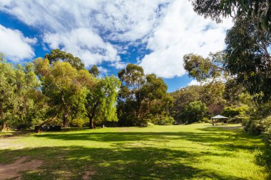 Lerderderg Gorge Pisti 'nin etrafındaki huzurlu çevre sıcak bir sonbahar gününde Avustralya' nın Victoria kentindeki Melbourne şehrinde yürüyor.