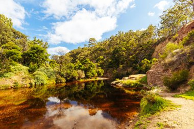 Lerderderg Gorge Pisti 'nin etrafındaki huzurlu çevre sıcak bir sonbahar gününde Avustralya' nın Victoria kentindeki Melbourne şehrinde yürüyor.