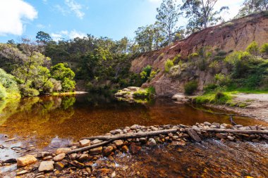 Lerderderg Gorge Pisti 'nin etrafındaki huzurlu çevre sıcak bir sonbahar gününde Avustralya' nın Victoria kentindeki Melbourne şehrinde yürüyor.
