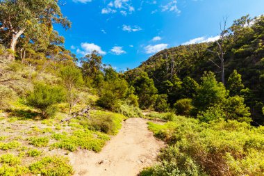 Lerderderg Gorge Pisti 'nin etrafındaki huzurlu çevre sıcak bir sonbahar gününde Avustralya' nın Victoria kentindeki Melbourne şehrinde yürüyor.