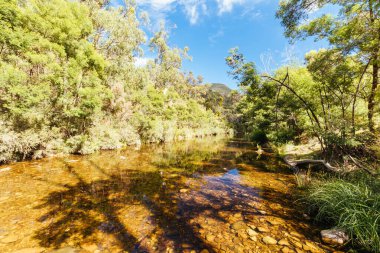 Lerderderg Gorge Pisti 'nin etrafındaki huzurlu çevre sıcak bir sonbahar gününde Avustralya' nın Victoria kentindeki Melbourne şehrinde yürüyor.