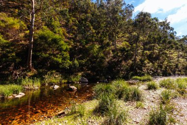 Lerderderg Gorge Pisti 'nin etrafındaki huzurlu çevre sıcak bir sonbahar gününde Avustralya' nın Victoria kentindeki Melbourne şehrinde yürüyor.