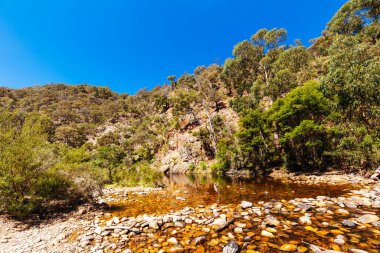 Lerderderg Gorge Pisti 'nin etrafındaki huzurlu çevre sıcak bir sonbahar gününde Avustralya' nın Victoria kentindeki Melbourne şehrinde yürüyor.
