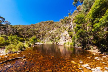 Lerderderg Gorge Pisti 'nin etrafındaki huzurlu çevre sıcak bir sonbahar gününde Avustralya' nın Victoria kentindeki Melbourne şehrinde yürüyor.