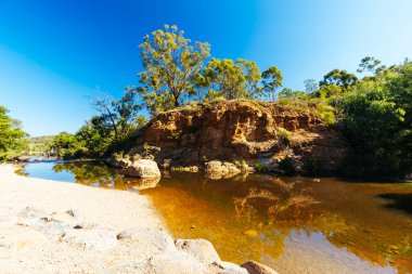 Lerderderg Gorge Pisti 'nin etrafındaki huzurlu çevre sıcak bir sonbahar gününde Avustralya' nın Victoria kentindeki Melbourne şehrinde yürüyor.