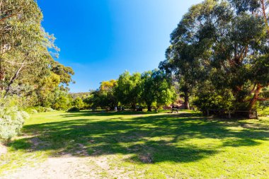 Lerderderg Gorge Pisti 'nin etrafındaki huzurlu çevre sıcak bir sonbahar gününde Avustralya' nın Victoria kentindeki Melbourne şehrinde yürüyor.