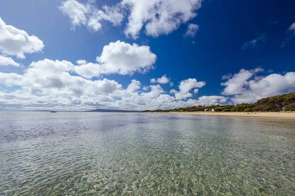 Vista Dalla Baia Port Phillip Tyrone Foreshore Reserve Una Calda — Foto Stock