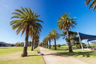 St. Kilda Batı Sahili ve Avustralya Melbourne limanı yakınlarında ılık bir yaz sabahı yemyeşil Catani Bahçeleri.