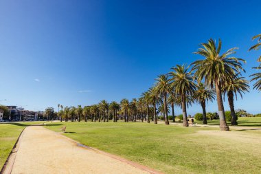 St. Kilda Batı Sahili ve Avustralya Melbourne limanı yakınlarında ılık bir yaz sabahı yemyeşil Catani Bahçeleri.