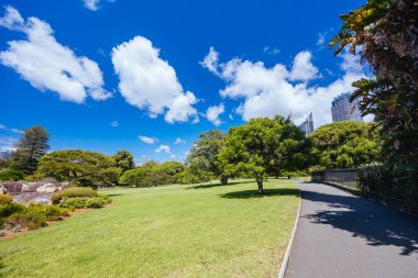 Kraliyet Botanik Bahçesi Sidney, New South Wales, Avustralya 'da ılık bir sonbahar sabahı