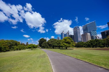 Kraliyet Botanik Bahçesi Sidney, New South Wales, Avustralya 'da ılık bir sonbahar sabahı