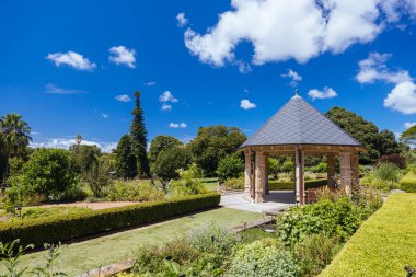 Kraliyet Botanik Bahçesi Sidney, New South Wales, Avustralya 'da ılık bir sonbahar sabahı