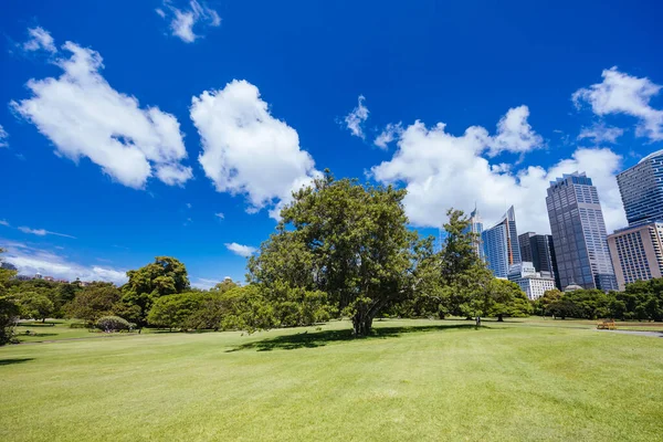 Real Jardín Botánico Una Cálida Mañana Otoño Sydney Nueva Gales — Foto de Stock