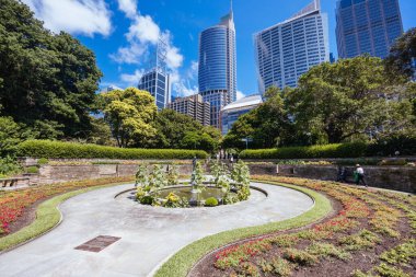 Kraliyet Botanik Bahçesi Sidney, New South Wales, Avustralya 'da ılık bir sonbahar sabahı