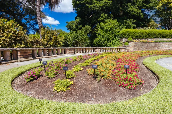 stock image Royal Botanic Garden on a warm autumn morning in Sydney, New South Wales, Australia